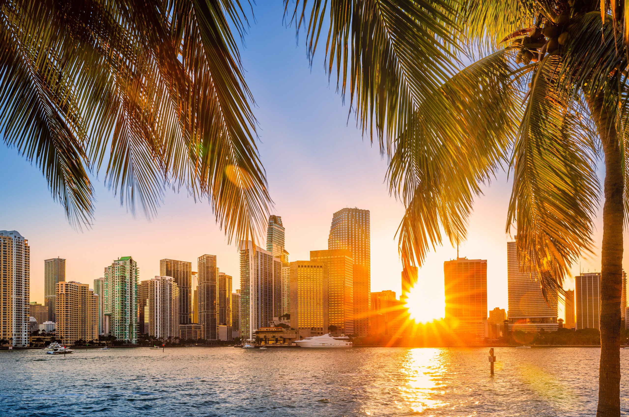 Miami FL Skyline