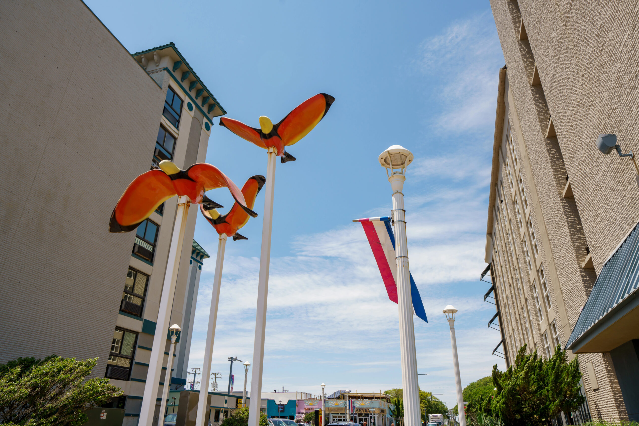 Virginia Beach Bird Art